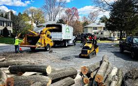 Best Lot and Land Clearing  in Blackfoot, ID