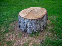 Best Arborist Consultation Services  in Blackfoot, ID